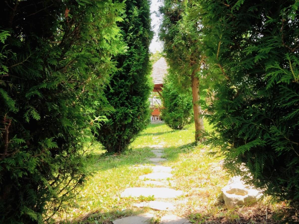 Willa Homy Family House Bran  Zewnętrze zdjęcie