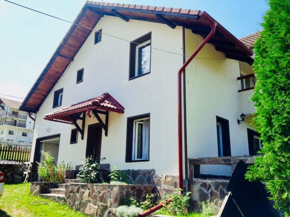 Willa Homy Family House Bran  Zewnętrze zdjęcie